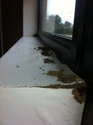 Traitement contre l'humidité des murs/ remontées capillaires sur la Vienne
